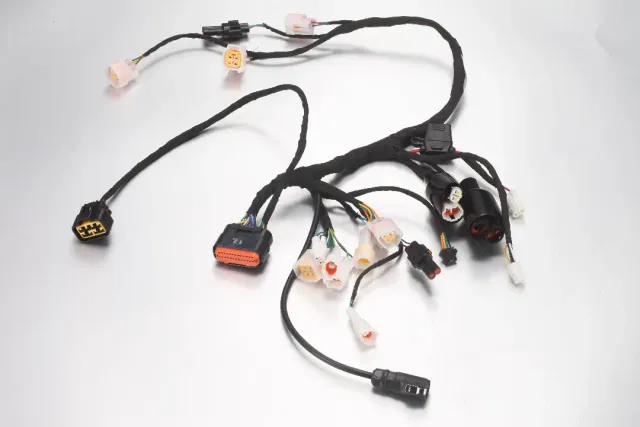 E-Ride Pro E6028 Mini faisceau principal
