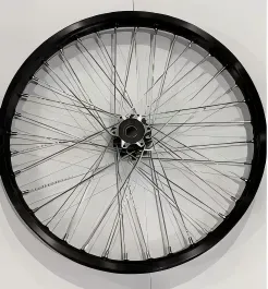 E-Ride Pro SHE7112 roue arrière 1.85-16 pouces